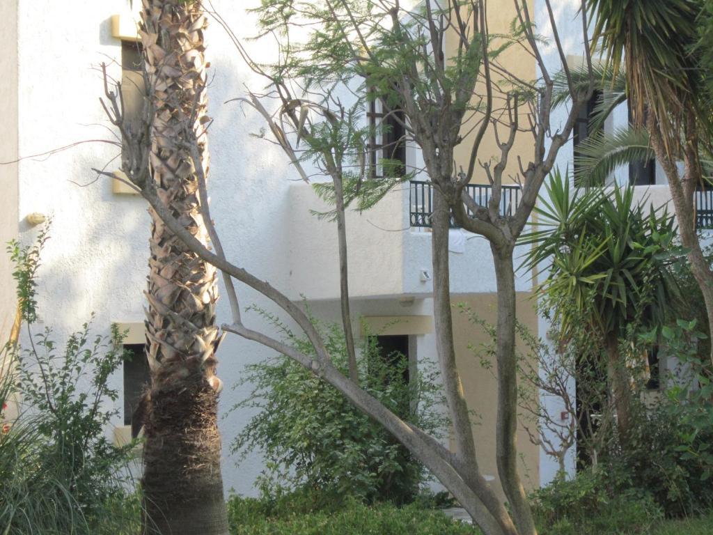 Apartments Seagull Ágios Fokás Exterior foto